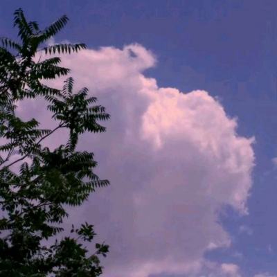 蓝月至尊高爆版回收版下载